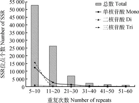 图片[6]-沙鞭转录组简单重复序列(SSR)位点特征分析-游戏花园