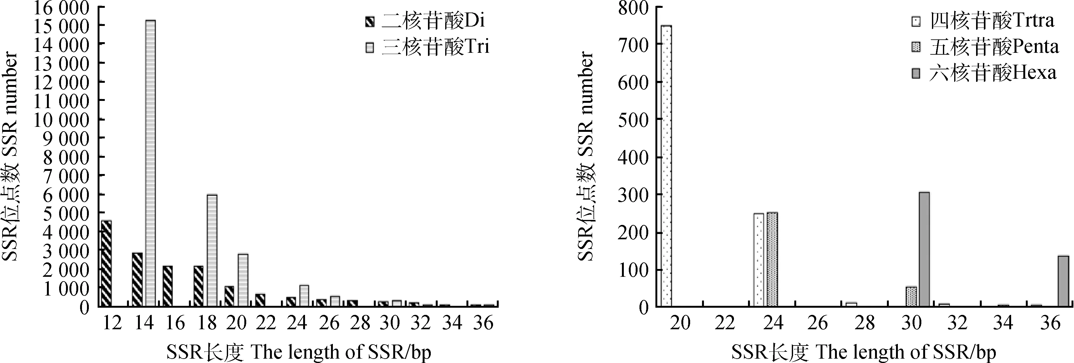 图片[8]-沙鞭转录组简单重复序列(SSR)位点特征分析-游戏花园