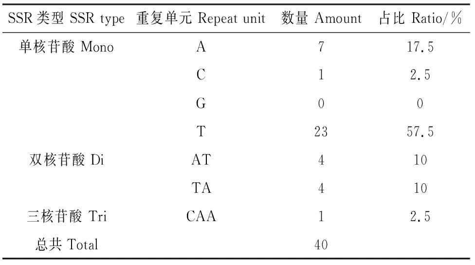图片[3]-房山紫堇叶绿体基因组特征及其系统进化关系-游戏花园