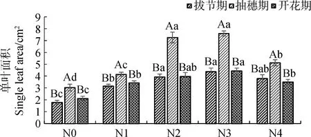 图片[4]-氮添加对高寒人工草地垂穗披碱草(Elymusnutans)生长及光合特性的影响-游戏花园
