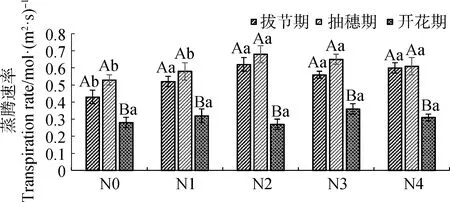 图片[7]-氮添加对高寒人工草地垂穗披碱草(Elymusnutans)生长及光合特性的影响-游戏花园