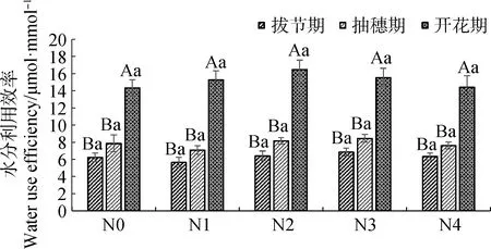 图片[10]-氮添加对高寒人工草地垂穗披碱草(Elymusnutans)生长及光合特性的影响-游戏花园