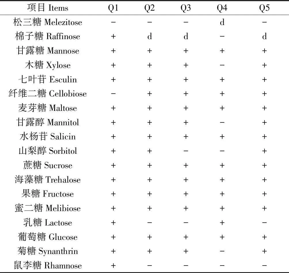 图片[4]-葡萄枝叶自然青贮中优选乳酸菌的分离与鉴定-游戏花园