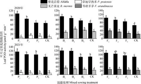 图片[7]-紫花苜蓿与不同生活型多年生禾本科牧草混播生长生理特征-游戏花园