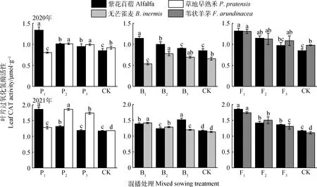 图片[8]-紫花苜蓿与不同生活型多年生禾本科牧草混播生长生理特征-游戏花园