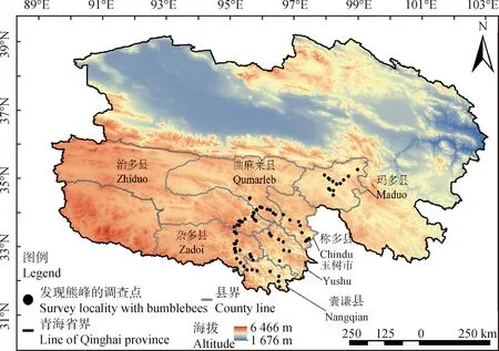 图片[2]-三江源地区熊蜂物种多样性研究-游戏花园