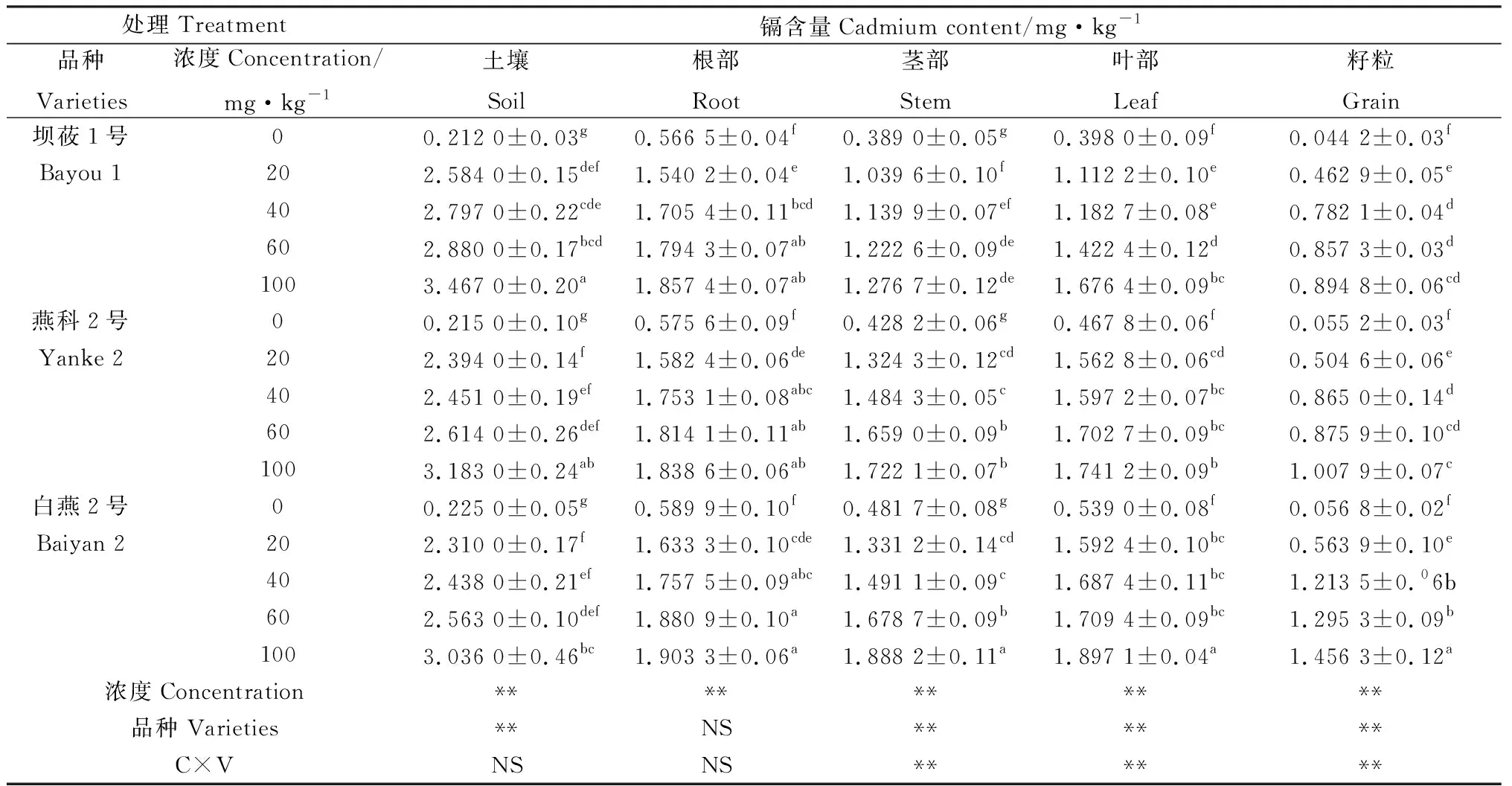 图片[10]-不同镉浓度对3个燕麦品种光合特性及镉富集转运系数的影响-游戏花园