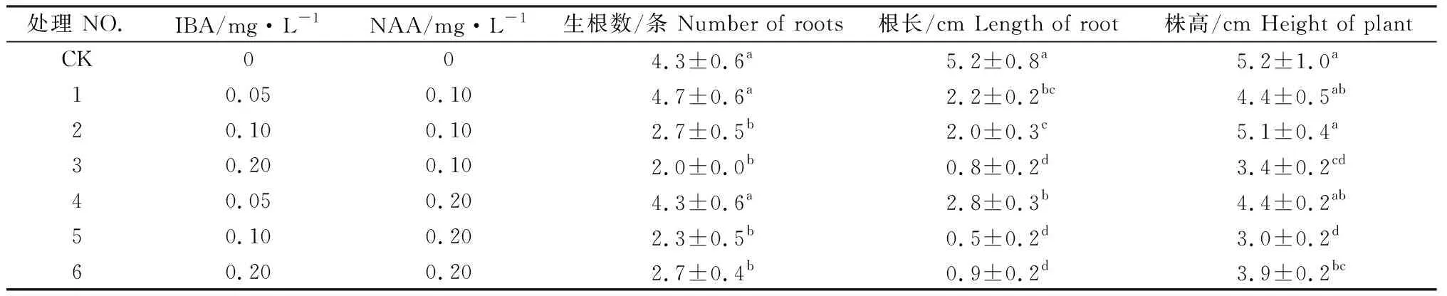 图片[4]-青绿苔草(Carebreviculmis)愈伤组织诱导与再生体系的建立-游戏花园