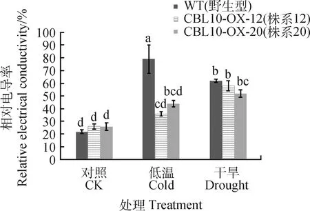 图片[7]-西藏野生垂穗披碱草EnCBL10基因的克隆与功能研究-游戏花园