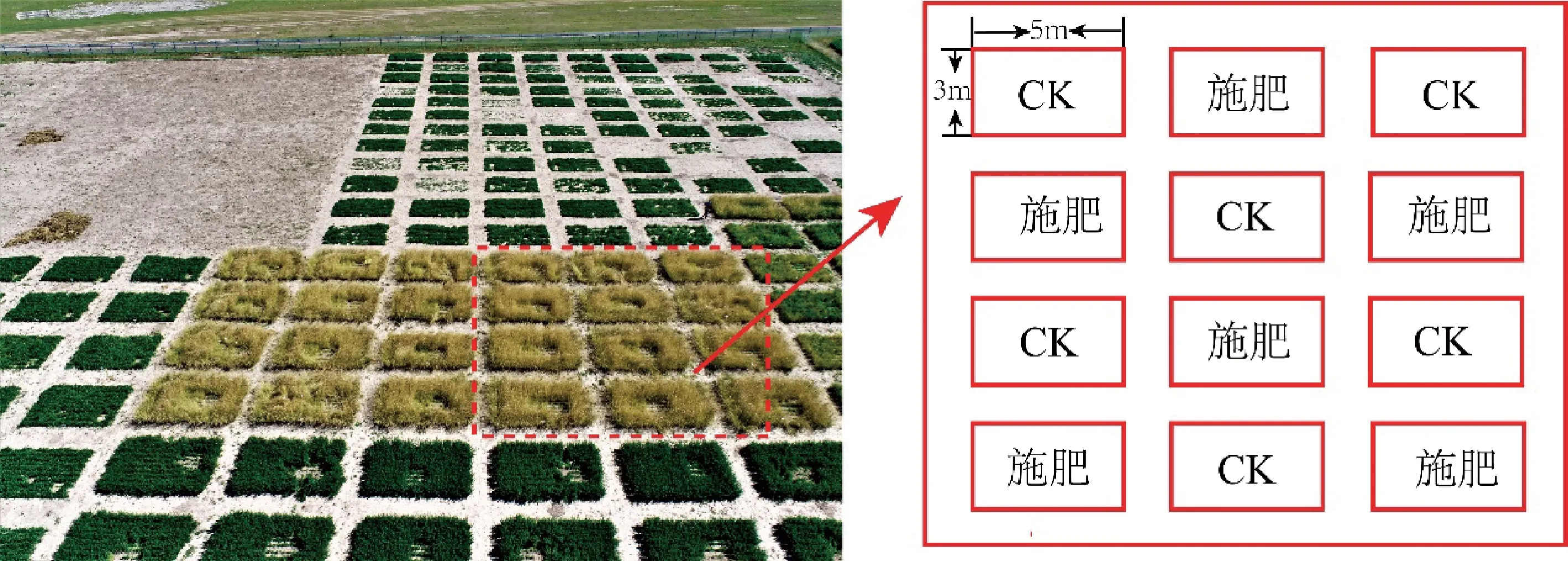 环青海湖地区两种引种禾本科牧草根际真菌群落对有机肥的响应-游戏花园