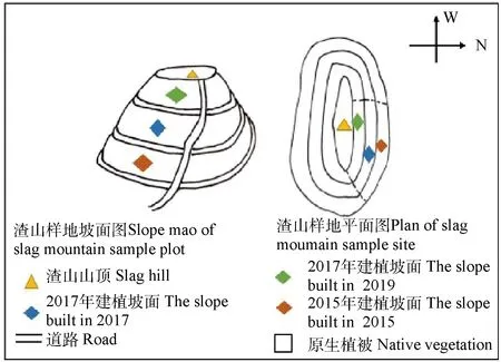 高寒煤矿渣山植被建植年限对土壤细菌多样性的影响-游戏花园