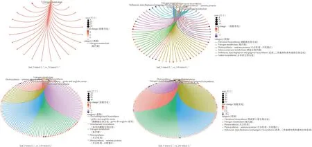图片[10]-综合生理学和转录组学揭示芦竹耐盐的候选基因-游戏花园