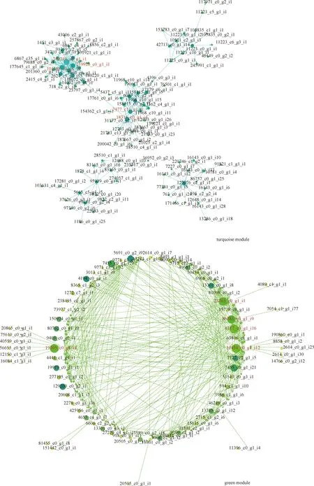 图片[12]-综合生理学和转录组学揭示芦竹耐盐的候选基因-游戏花园
