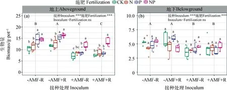 接种AMF替代磷肥促进退化草地黄花苜蓿的补播建植-游戏花园
