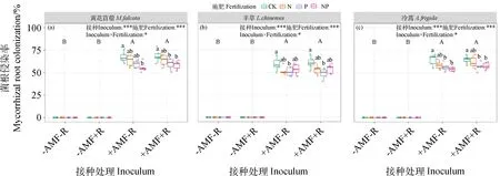 图片[3]-接种AMF替代磷肥促进退化草地黄花苜蓿的补播建植-游戏花园