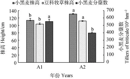 图片[4]-夏河农牧交错区小黑麦与豆科牧草混播的生产性能研究-游戏花园