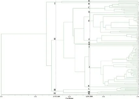 图片[4]-基于三种分子标记的栽培金鸡菊遗传多样性及亲缘关系分析-游戏花园