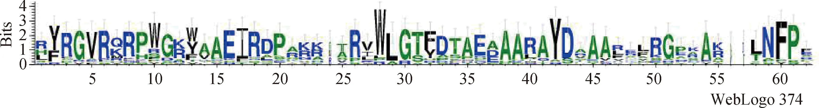 图片[7]-蒙古冰草ERF转录因子生物信息学及其表达分析-游戏花园