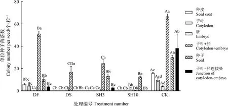图片[4]-紫花苜蓿种子内生根瘤菌定位及灭菌方法研究-游戏花园