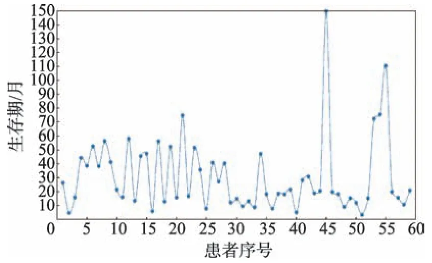 图片[13]-多层次降维的头颈癌图像特征选择方法*-游戏花园