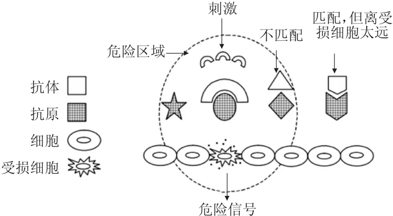 钢管制造执行系统中人工免疫本体的设计与应用-游戏花园