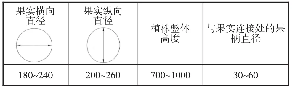 图片[3]-基于慧鱼模具的菠萝采集车设计-游戏花园