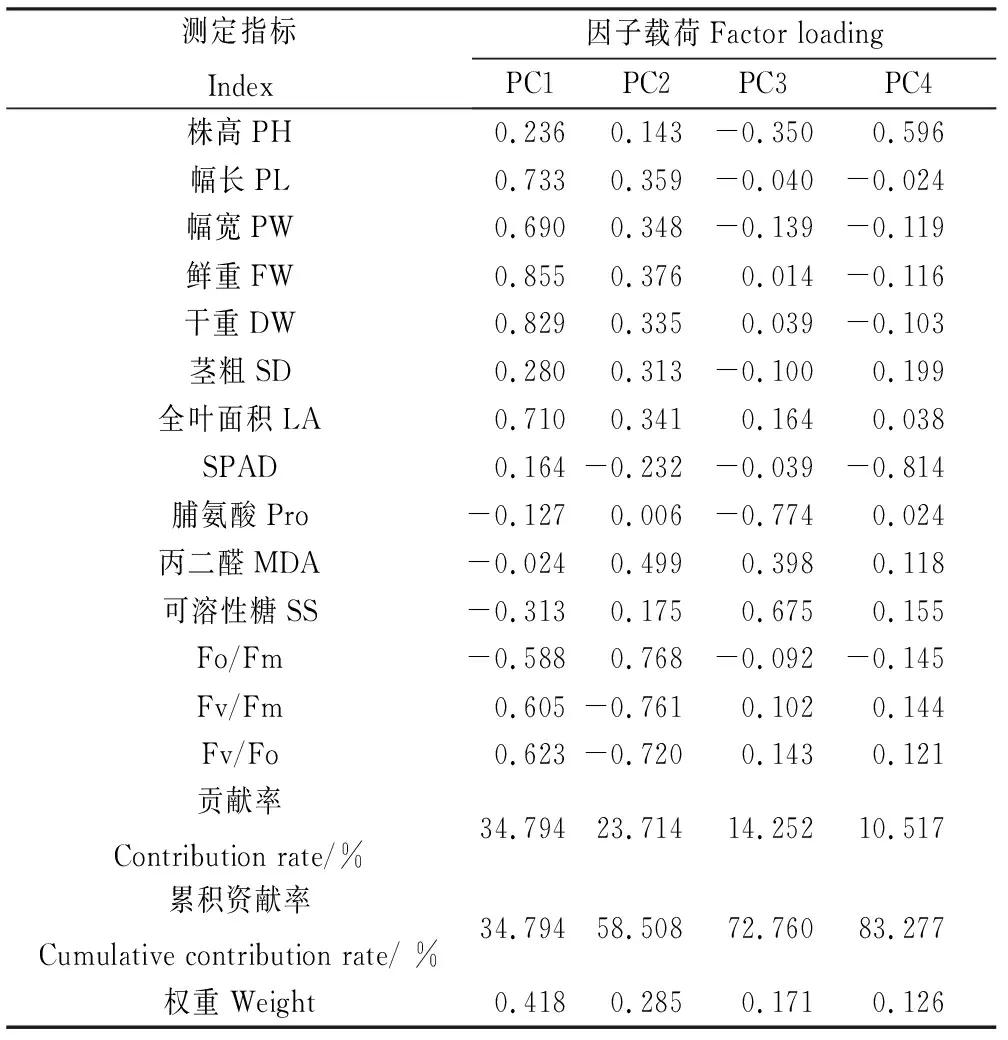 图片[5]-盐水连续浇灌下107份黄花苜蓿苗期耐盐性评价-游戏花园