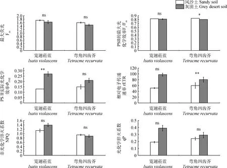 图片[6]-短命植物生长特性及叶绿素荧光特性对不同土壤类型的响应-游戏花园