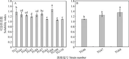 图片[2]-‘晋农1号’达乌里胡枝子根瘤内生解磷菌的鉴定及特性研究-游戏花园