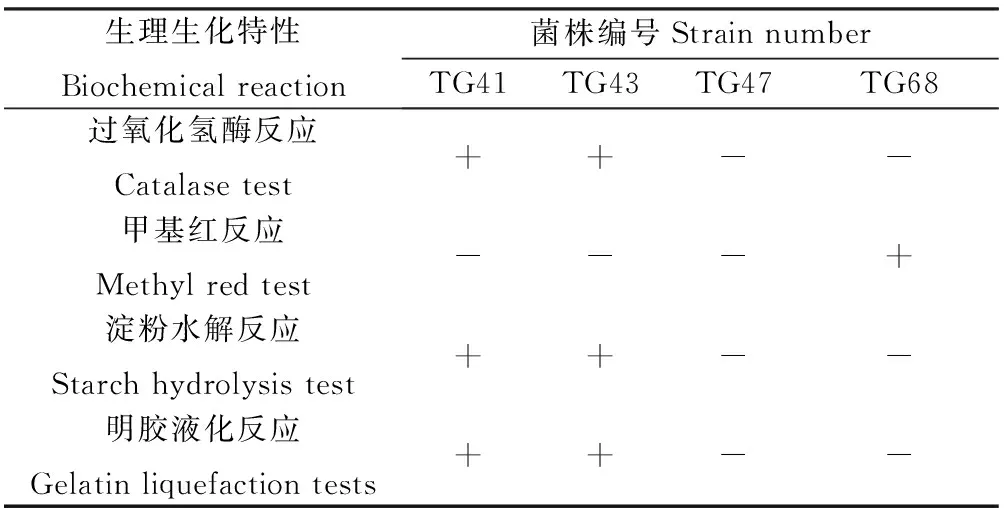 图片[7]-‘晋农1号’达乌里胡枝子根瘤内生解磷菌的鉴定及特性研究-游戏花园