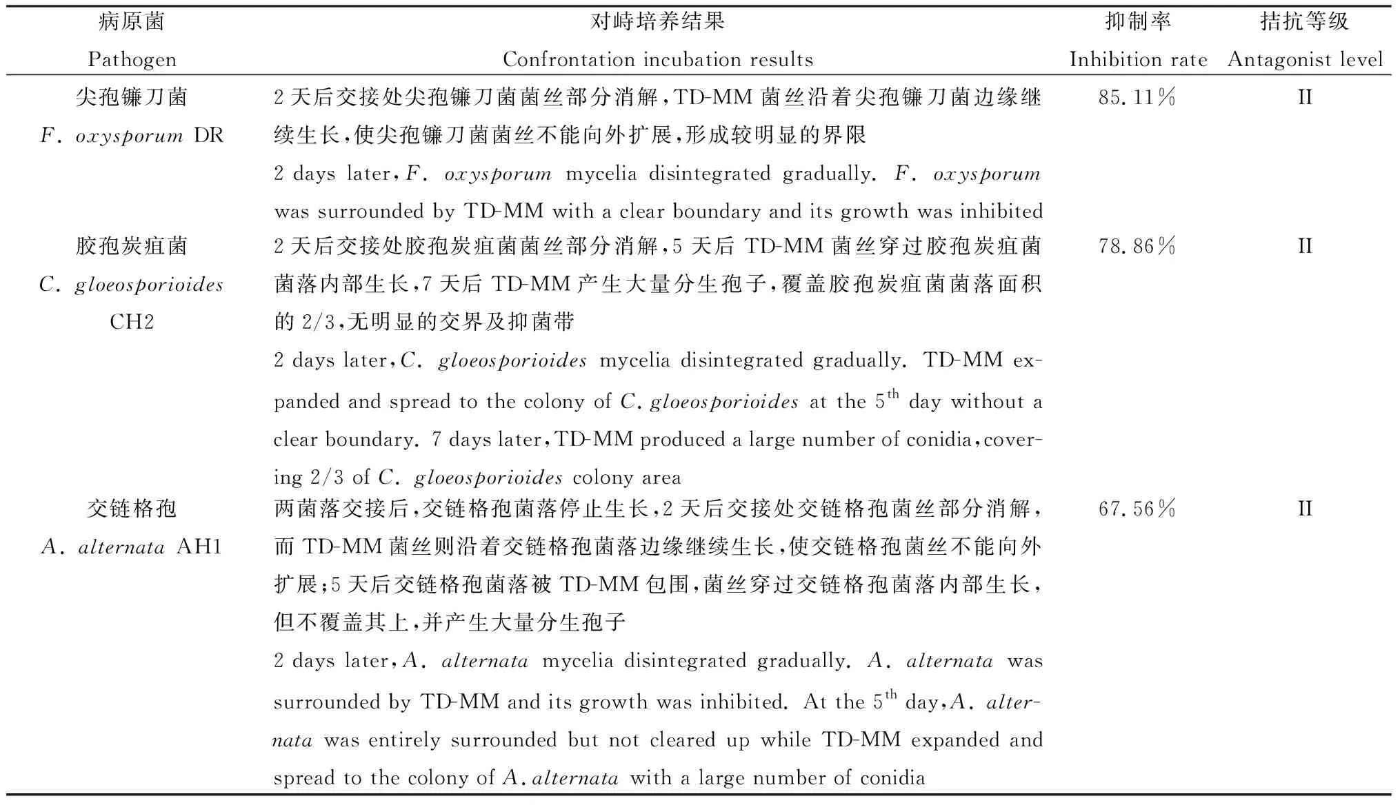 图片[8]-鸭茅内生木霉菌株TD-MM鉴定及其特性研究-游戏花园