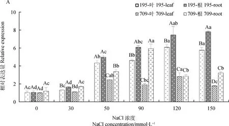 图片[7]-燕麦K+,Na+积累与AsSOS1基因表达对盐胁迫的响应-游戏花园
