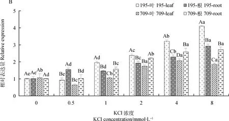 图片[8]-燕麦K+,Na+积累与AsSOS1基因表达对盐胁迫的响应-游戏花园