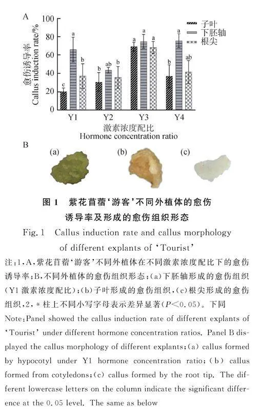 图片[2]-紫花苜蓿胚性愈伤组织诱导与增殖的研究-游戏花园