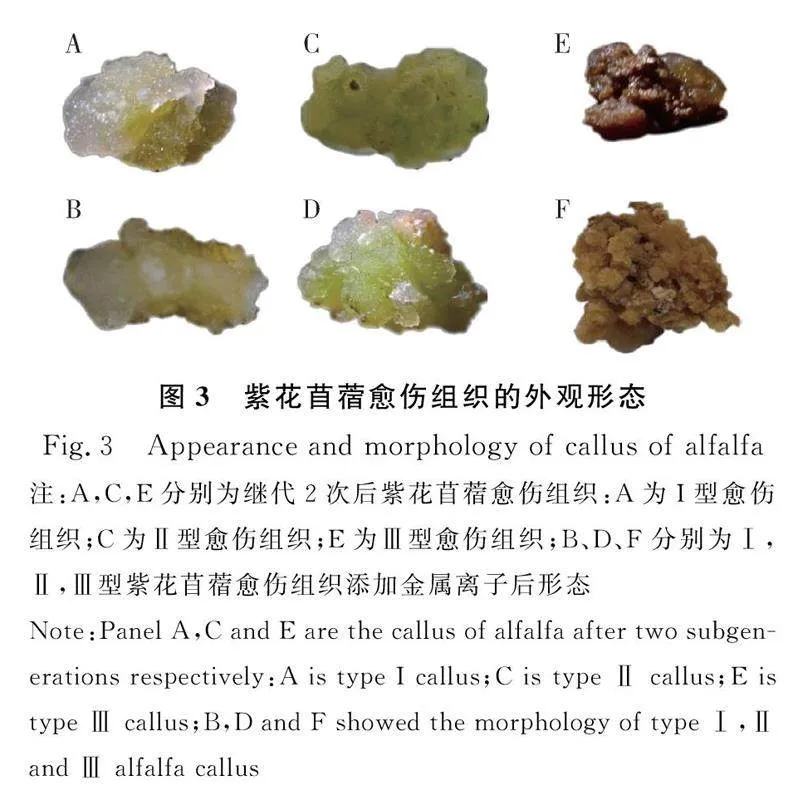 图片[3]-紫花苜蓿胚性愈伤组织诱导与增殖的研究-游戏花园