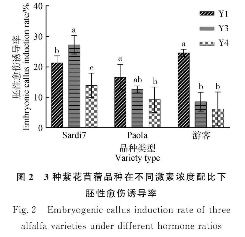 图片[6]-紫花苜蓿胚性愈伤组织诱导与增殖的研究-游戏花园