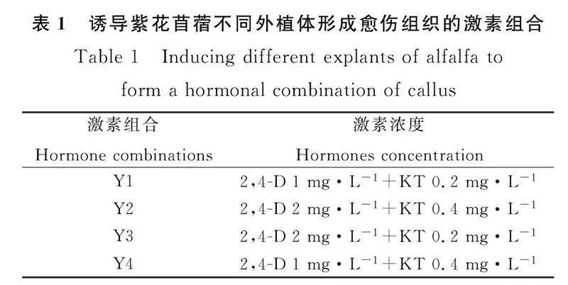 图片[7]-紫花苜蓿胚性愈伤组织诱导与增殖的研究-游戏花园