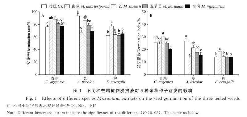 图片[3]-芒属植物对3种杂草种子萌发与幼苗生长的化感效应研究-游戏花园