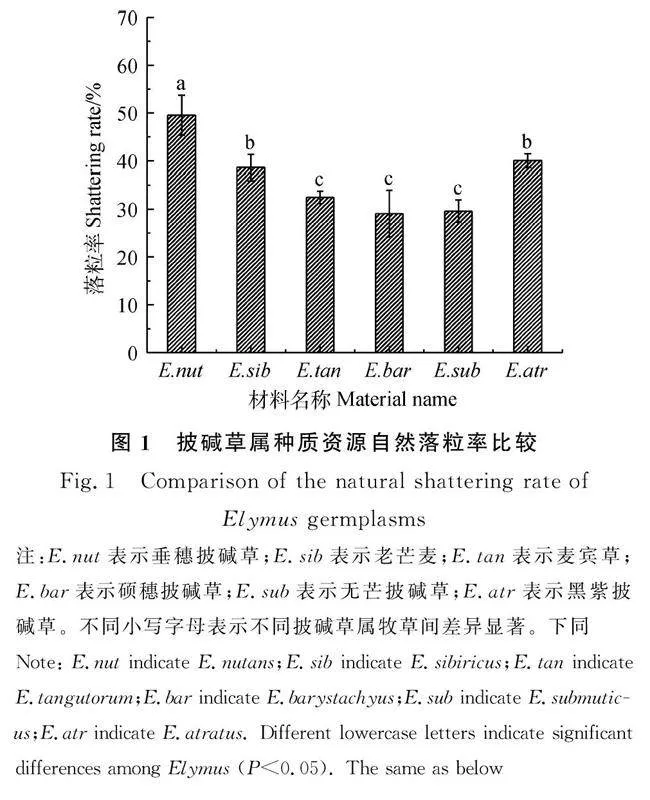 青藏高原六种披碱草属牧草落粒性差异及农艺性状分析-游戏花园