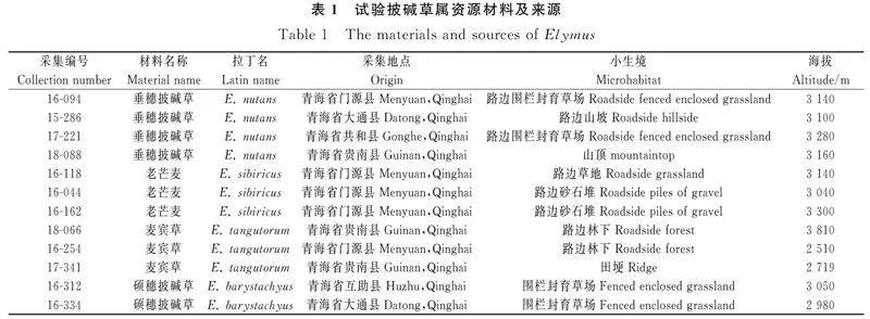 图片[4]-青藏高原六种披碱草属牧草落粒性差异及农艺性状分析-游戏花园