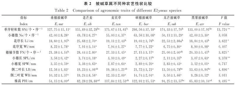 图片[5]-青藏高原六种披碱草属牧草落粒性差异及农艺性状分析-游戏花园