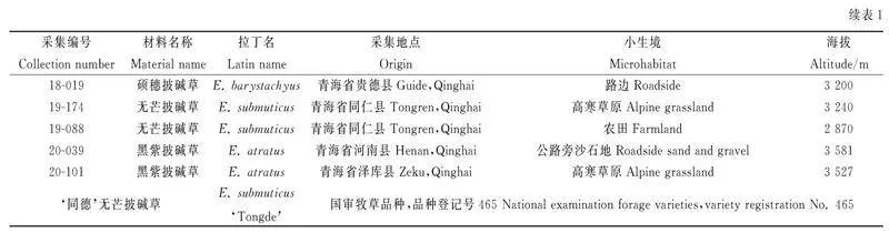 图片[9]-青藏高原六种披碱草属牧草落粒性差异及农艺性状分析-游戏花园