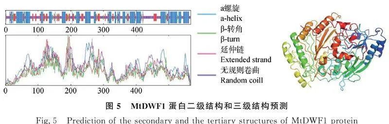 图片[5]-蒺藜苜蓿MtDWF1基因克隆、亚细胞定位及表达特征分析-游戏花园