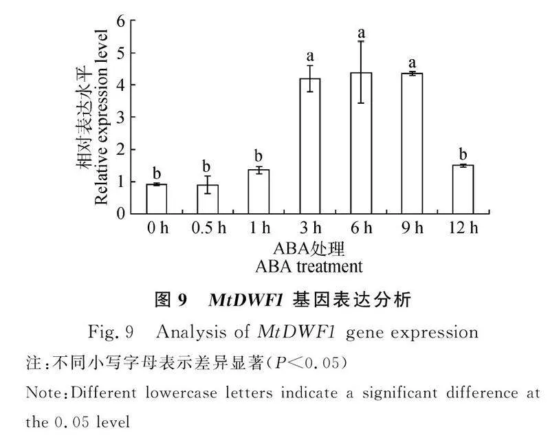 图片[8]-蒺藜苜蓿MtDWF1基因克隆、亚细胞定位及表达特征分析-游戏花园