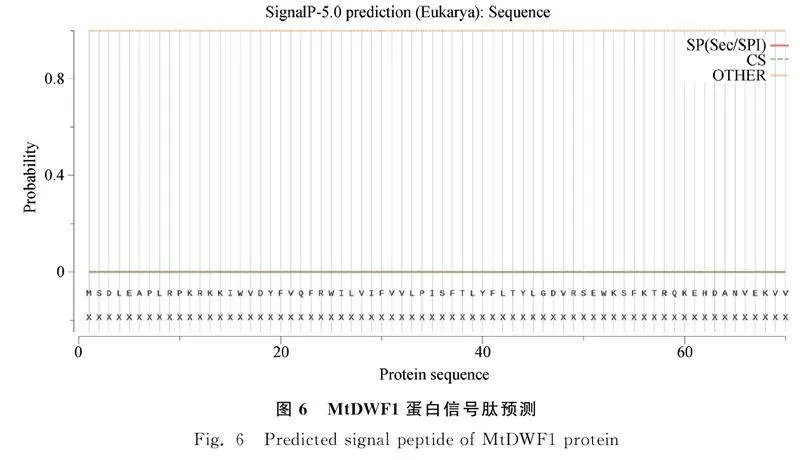 图片[9]-蒺藜苜蓿MtDWF1基因克隆、亚细胞定位及表达特征分析-游戏花园