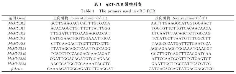 图片[2]-紫花苜蓿R2R3-MYB亚家族鉴定与干旱胁迫下的表达分析-游戏花园