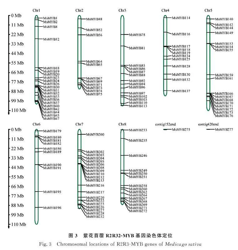 图片[6]-紫花苜蓿R2R3-MYB亚家族鉴定与干旱胁迫下的表达分析-游戏花园