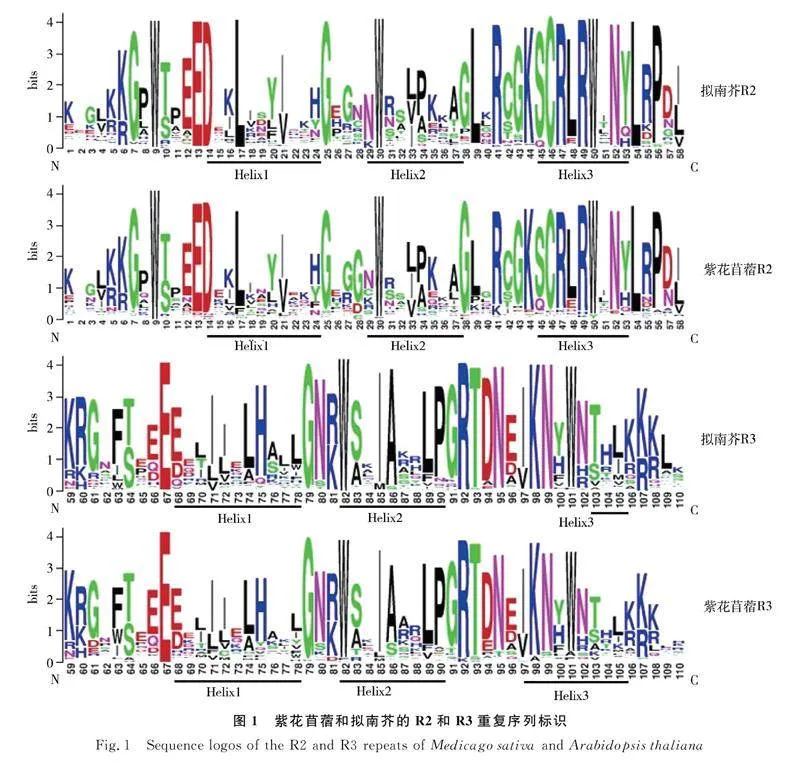 图片[9]-紫花苜蓿R2R3-MYB亚家族鉴定与干旱胁迫下的表达分析-游戏花园