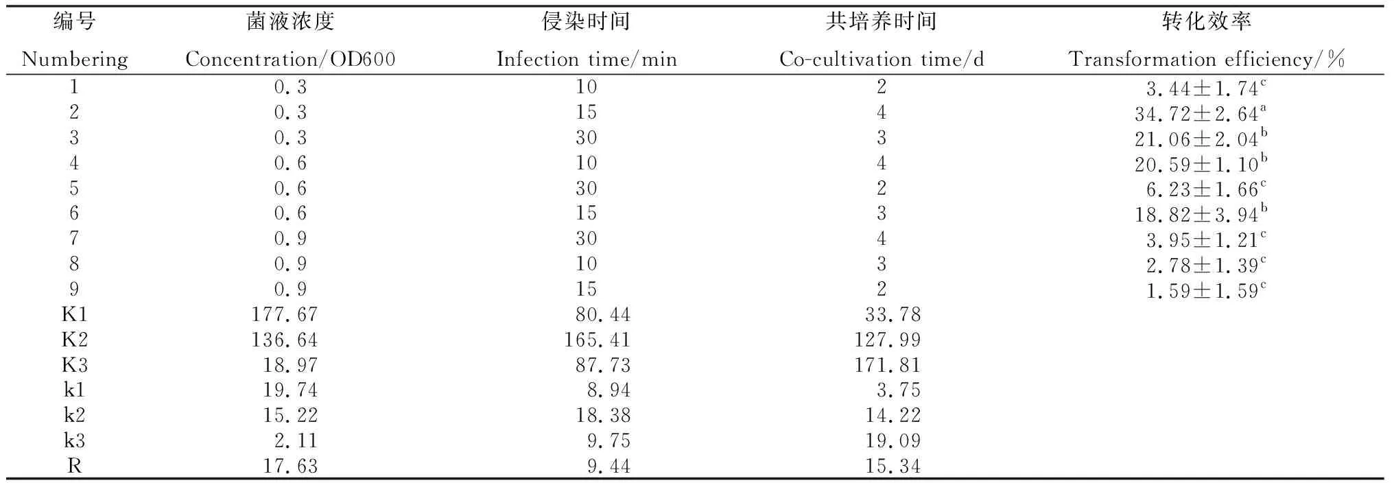 图片[6]-发根农杆菌介导的细茎柱花草毛状根转化体系的建立-游戏花园