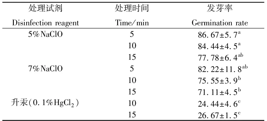 图片[2]-美洲狼尾草组织培养再生体系的建立-游戏花园